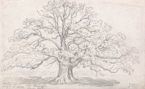 De Grote Eik van Mr. Howard, 5 Augustus 1820 door James Ward